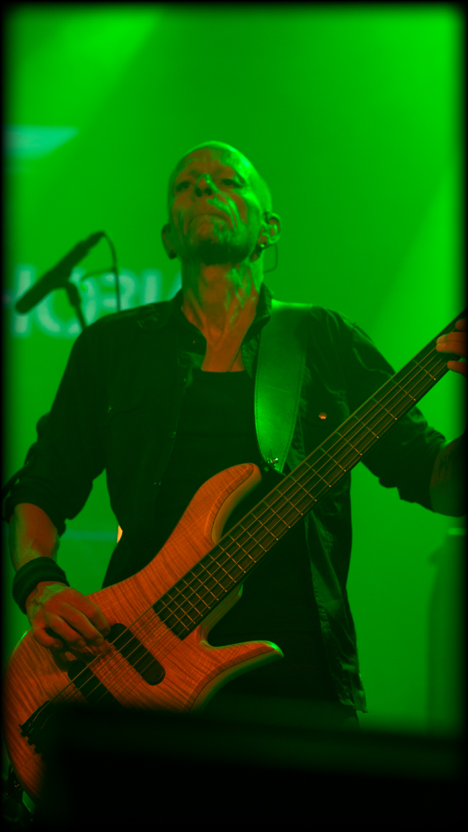 Olli